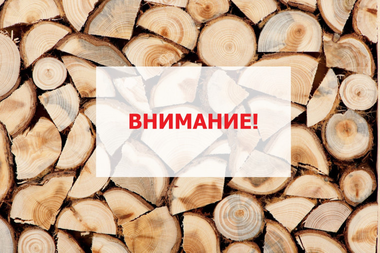 Справки на дрова не выдаем!. Справки на дрова не выдаем!.